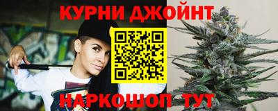 шишки Кингисепп