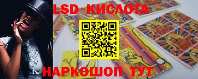 шишки Кингисепп