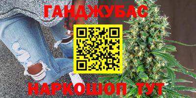 шишки Кингисепп