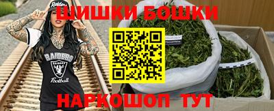шишки Кингисепп