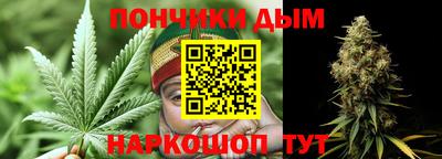 шишки Кингисепп