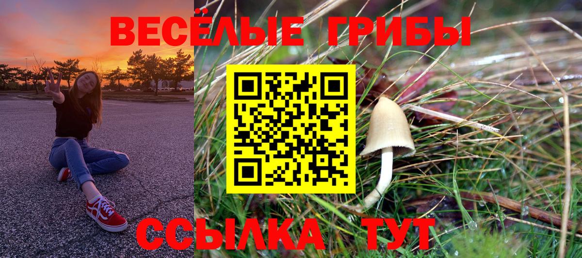Псилоцибиновые грибы Psilocybine cubensis  Вход с VPN  Галлюциногенные грибы прущие грибы  Ялуторовск 